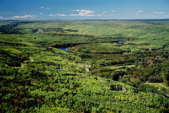 Blue Green Planet Project Canada